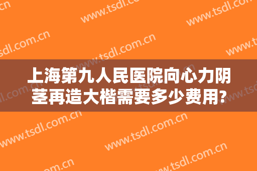 上海第九人民医院向心力阴茎再造大楷需要多少费用?需要多久恢复?