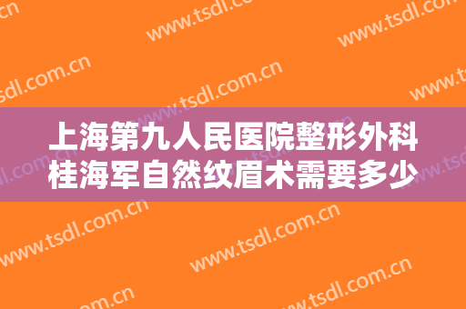 上海第九人民医院整形外科桂海军自然纹眉术需要多少钱?贵不贵?