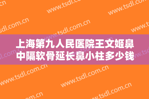 上海第九人民医院王文姬鼻中隔软骨延长鼻小柱多少钱?怎么样?