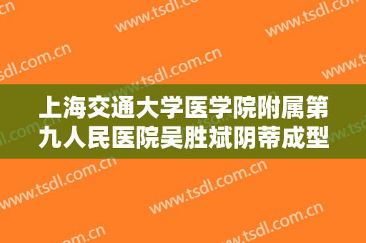 上海交通大学医学院附属第九人民医院吴胜斌阴蒂成型术一般多少钱?怎么样?