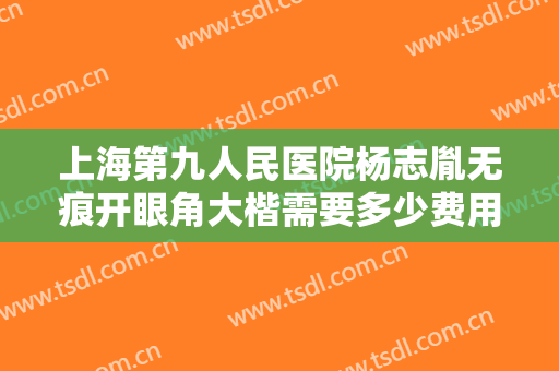 上海第九人民医院杨志胤无痕开眼角大楷需要多少费用?可靠吗?