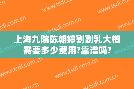 上海九院陈朝婷割副乳大楷需要多少费用?靠谱吗?
