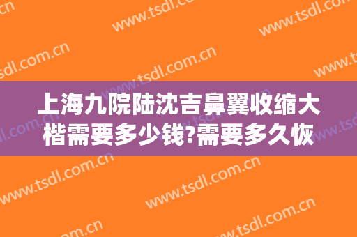 上海九院陆沈吉鼻翼收缩大楷需要多少钱?需要多久恢复?(上海九院鼻翼缩小)