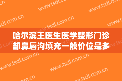 哈尔滨王医生医学整形门诊部鼻唇沟填充一般价位是多少钱?贵不贵?(哈尔滨王医生整形医院电话)