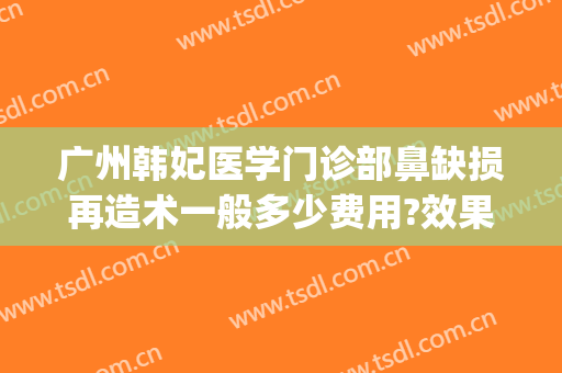 广州韩妃医学门诊部鼻缺损再造术一般多少费用?效果怎么样?(广州韩妃医疗美容医院怎么样)