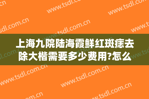 上海九院陆海霞鲜红斑痣去除大楷需要多少费用?怎么样?(上海九院鲜红斑痣治疗的效果与费用)