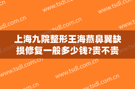 上海九院整形王海燕鼻翼缺损修复一般多少钱?贵不贵?(上海九院修复鼻子多少钱)