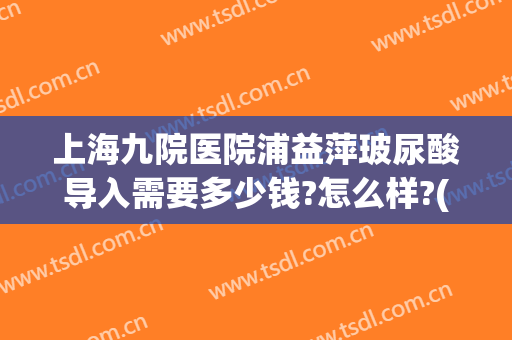 上海九院医院浦益萍玻尿酸导入需要多少钱?怎么样?(上海九院玻尿酸填充价格)