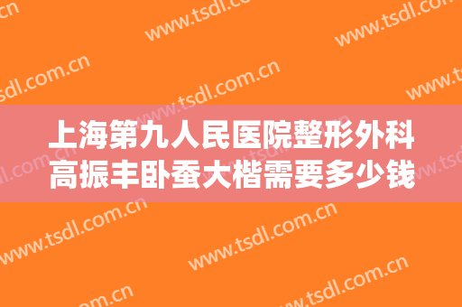 上海第九人民医院整形外科高振丰卧蚕大楷需要多少钱?靠谱吗?(上海九院高振医生手术做的好吗)