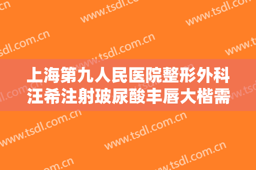 上海第九人民医院整形外科汪希注射玻尿酸丰唇大楷需要多少钱?好不好?