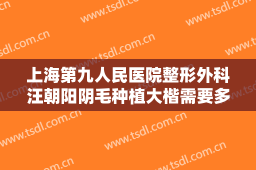 上海第九人民医院整形外科汪朝阳阴毛种植大楷需要多少费用?有哪些优势?