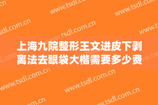 上海九院整形王文进皮下剥离法去眼袋大楷需要多少费用?可靠吗?(上海九院有不开刀去眼袋吗)