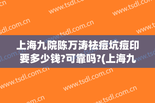 上海九院陈万涛祛痘坑痘印要多少钱?可靠吗?(上海九院 祛痘印)