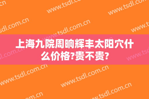 上海九院周晌辉丰太阳穴什么价格?贵不贵?