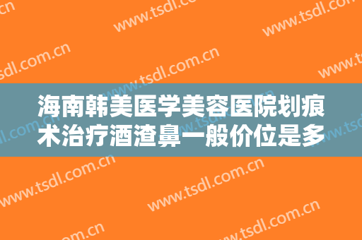 海南韩美医学美容医院划痕术治疗酒渣鼻一般价位是多少钱?需要多久恢复?