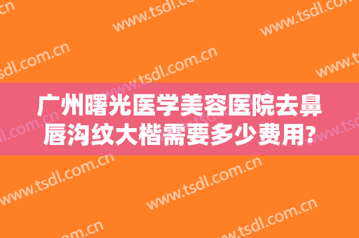 广州曙光医学美容医院去鼻唇沟纹大楷需要多少费用?多长时间恢复?
