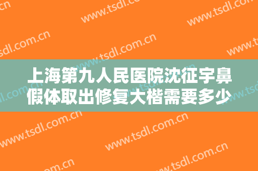 上海第九人民医院沈征宇鼻假体取出修复大楷需要多少费用?好不好?