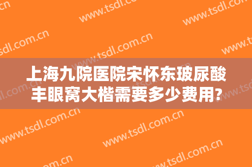 上海九院医院宋怀东玻尿酸丰眼窝大楷需要多少费用?靠谱吗?