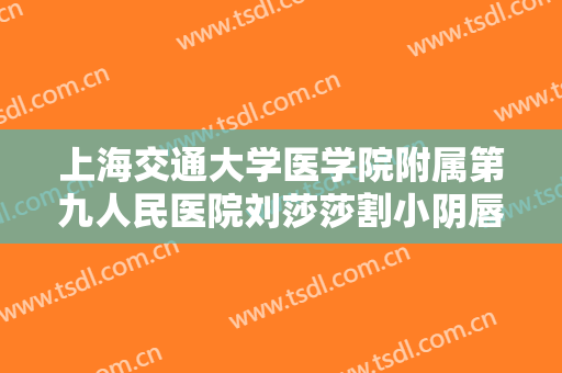 上海交通大学医学院附属第九人民医院刘莎莎割小阴唇一般价位是多少钱?怎么样?
