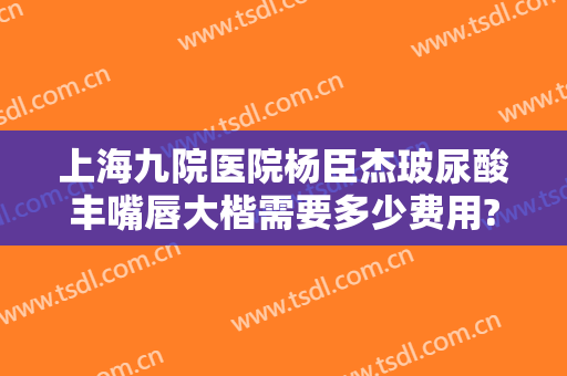 上海九院医院杨臣杰玻尿酸丰嘴唇大楷需要多少费用?有哪些优势?