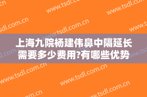 上海九院杨建伟鼻中隔延长需要多少费用?有哪些优势?