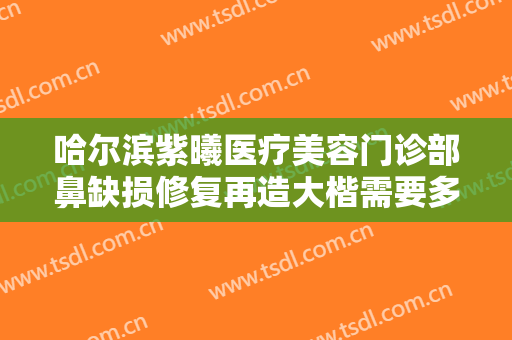 哈尔滨紫曦医疗美容门诊部鼻缺损修复再造大楷需要多少费用?效果怎么样?