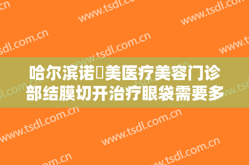 哈尔滨诺嬄美医疗美容门诊部结膜切开治疗眼袋需要多少费用?效果怎么样?