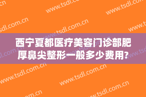 西宁夏都医疗美容门诊部肥厚鼻尖整形一般多少费用?好不好?(宁夏西京整形美容医院)