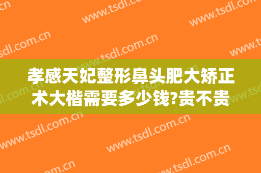 孝感天妃整形鼻头肥大矫正术大楷需要多少钱?贵不贵?(宽鼻梁整容多少钱)