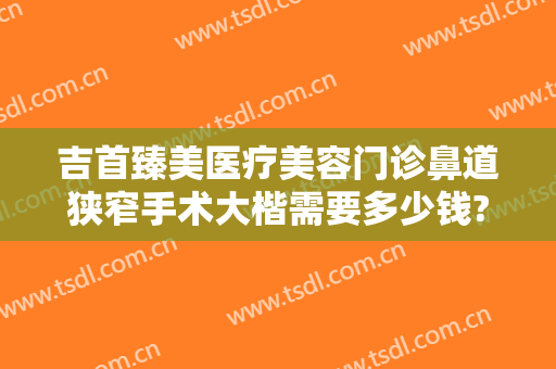吉首臻美医疗美容门诊鼻道狭窄手术大楷需要多少钱?靠谱吗?
