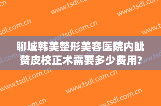 聊城韩美整形美容医院内眦赘皮校正术需要多少费用?怎么样?(内眦赘皮矫正术多少钱)