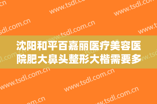沈阳和平百嘉丽医疗美容医院肥大鼻头整形大楷需要多少钱?好不好?(上海大韩嘉美整形医院好吗)