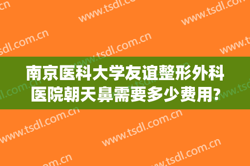 南京医科大学友谊整形外科医院朝天鼻需要多少费用?贵不贵?(南京医科大学友谊整形外科医院价格)
