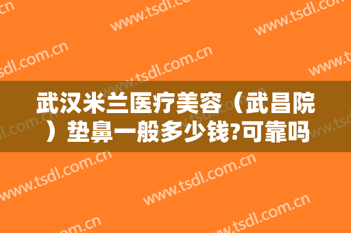 武汉米兰医疗美容（武昌院）垫鼻一般多少钱?可靠吗?