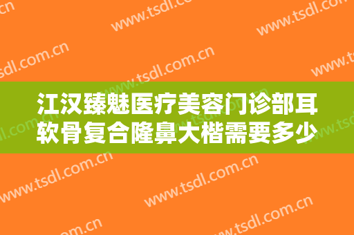 江汉臻魅医疗美容门诊部耳软骨复合隆鼻大楷需要多少费用?好不好?