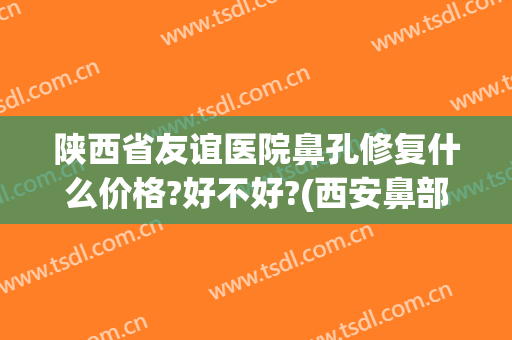 陕西省友谊医院鼻孔修复什么价格?好不好?(西安鼻部修复多少钱)