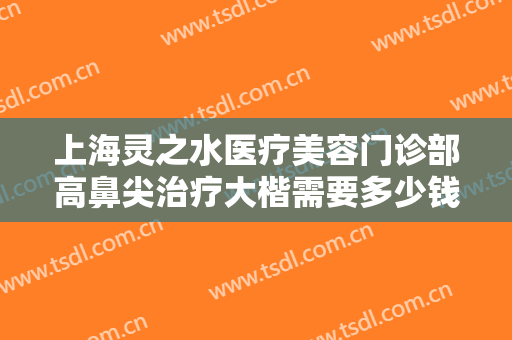 上海灵之水医疗美容门诊部高鼻尖治疗大楷需要多少钱?效果怎么样?