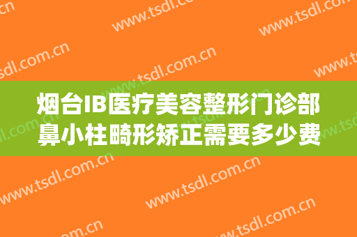 烟台IB医疗美容整形门诊部鼻小柱畸形矫正需要多少费用?靠谱吗?(烟台ib整形医院评论)