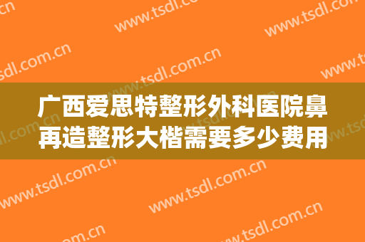 广西爱思特整形外科医院鼻再造整形大楷需要多少费用?可靠吗?(广西爱思特整形怎么样)