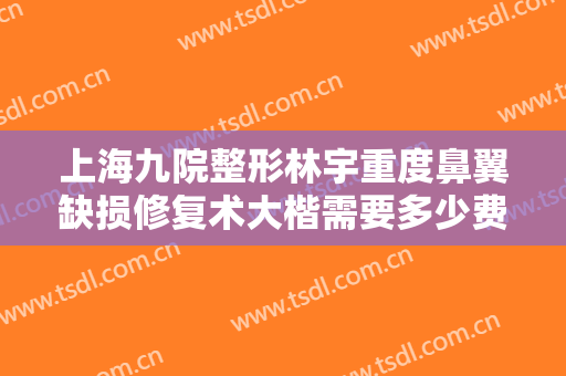 上海九院整形林宇重度鼻翼缺损修复术大楷需要多少费用?多长时间恢复?