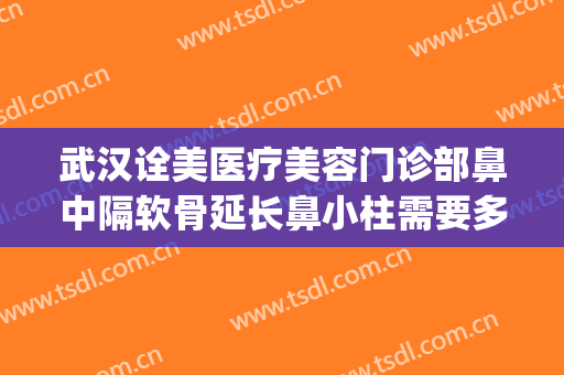 武汉诠美医疗美容门诊部鼻中隔软骨延长鼻小柱需要多少钱?贵不贵?(武汉鼻部整形多少钱)