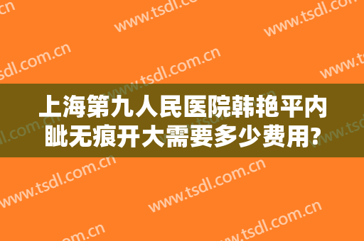上海第九人民医院韩艳平内眦无痕开大需要多少费用?贵不贵?