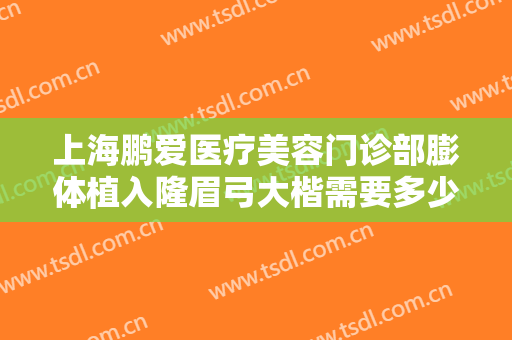 上海鹏爱医疗美容门诊部膨体植入隆眉弓大楷需要多少钱?好不好?