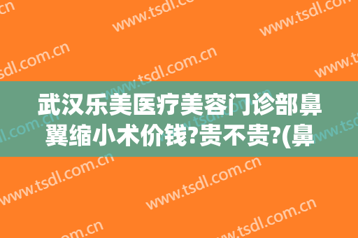 武汉乐美医疗美容门诊部鼻翼缩小术价钱?贵不贵?(鼻翼缩小手术费用)