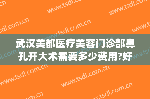武汉美都医疗美容门诊部鼻孔开大术需要多少费用?好不好?(武汉整形美容医院价格多少)