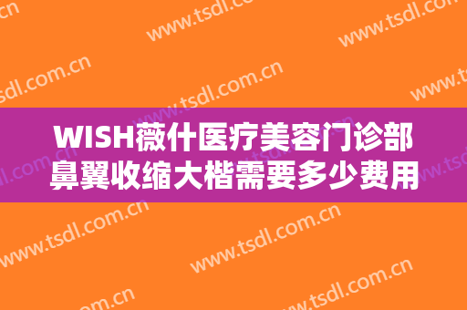 WISH薇什医疗美容门诊部鼻翼收缩大楷需要多少费用?贵不贵?