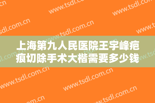 上海第九人民医院王宇峰疤痕切除手术大楷需要多少钱?效果怎么样?