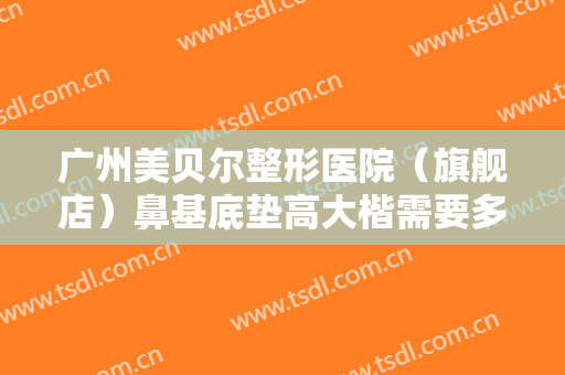 广州美贝尔整形医院（旗舰店）鼻基底垫高大楷需要多少费用?有哪些优势?