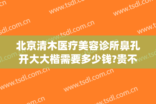 北京清木医疗美容诊所鼻孔开大大楷需要多少钱?贵不贵?(北京清木美容医院好吗)