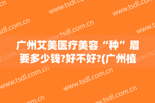 广州艾美医疗美容“种”眉要多少钱?好不好?(广州植眉毛一般要多少钱)